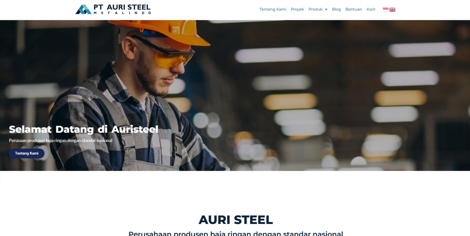 Auri Steels