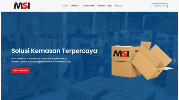 magnussolusi.com