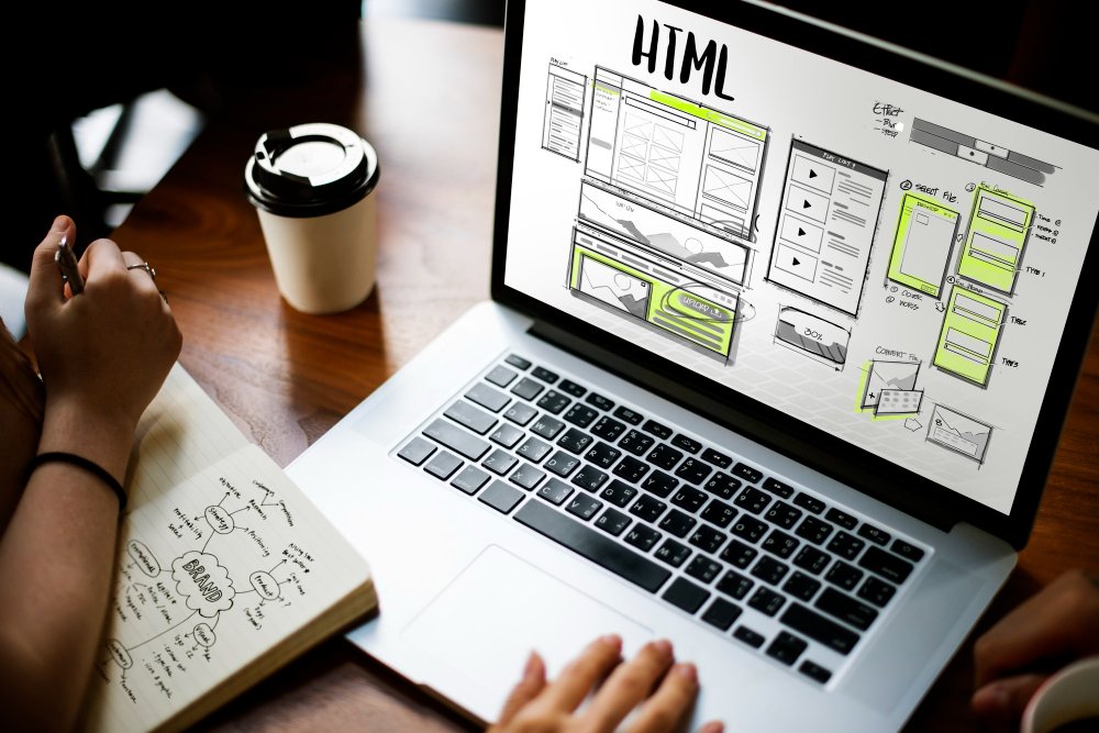 15 Template Gratis WordPress yang Biasa Dipakai oleh Web Developer Terbaru 2024