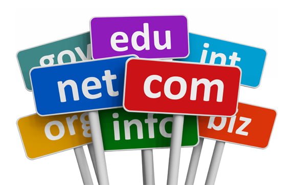 domain article
