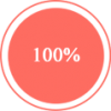 100% 100%
