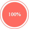 100% 100%