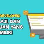 software developer