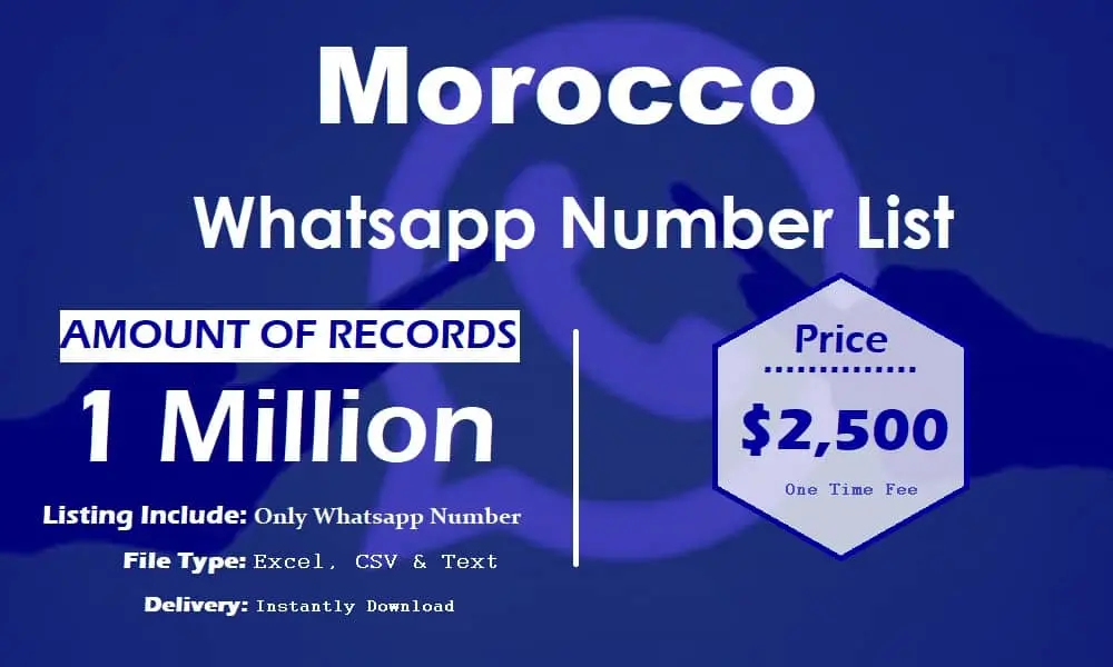 Morocco whatsapp number list