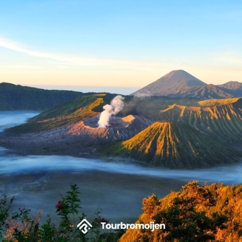 Mountbromoijen.com: Jasa Tour ke Gunung Bromo & Ijen Crater